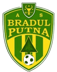 Bradul Putna